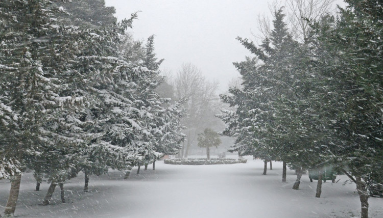 In photos: Long-awaited snow blankets Azerbaijani capital