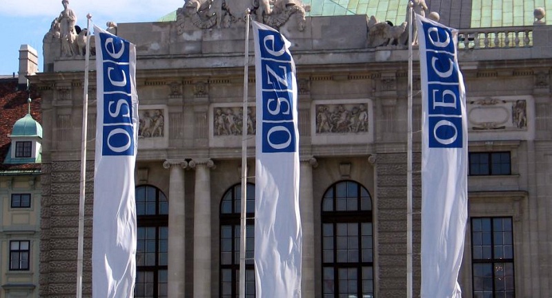 OSCE MG’s statement ‘nothing more than expert commentary’, expert says