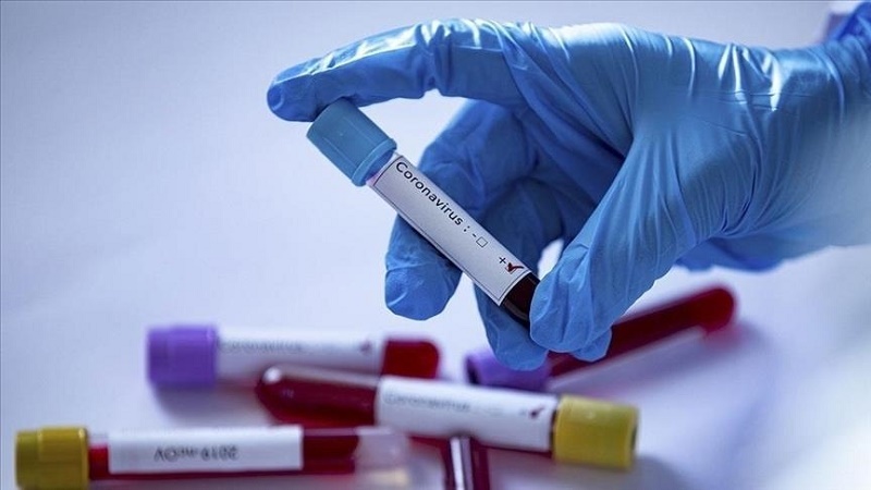 Azerbaijan documents over 2,100 new coronavirus cases