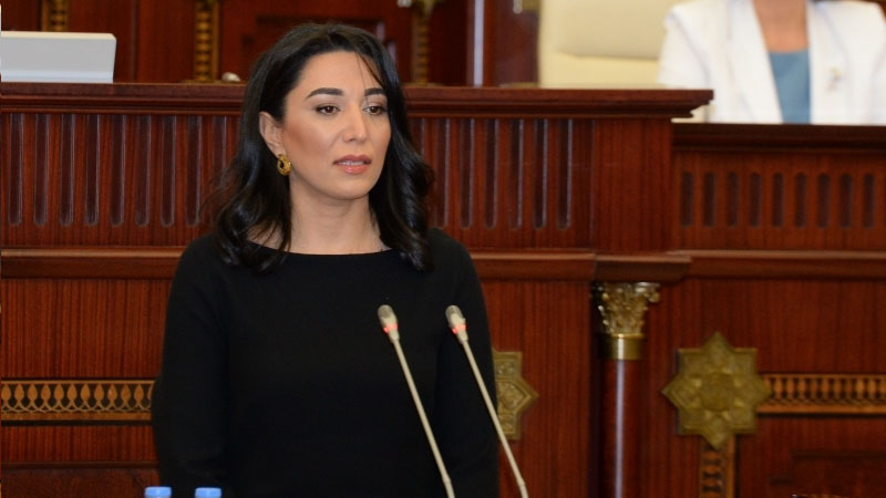 Azerbaijani Ombudsman sends appeal regarding Armenian provocation in United States