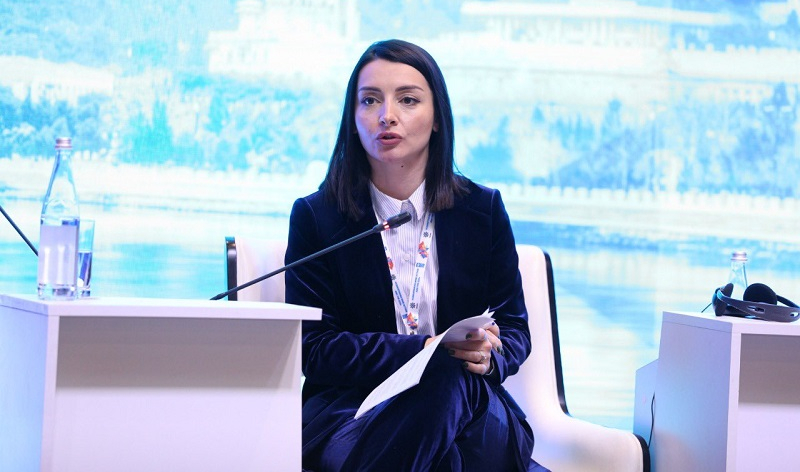 Demining of liberated lands a ‘priority’ for Azerbaijani government: MFA spokesperson 