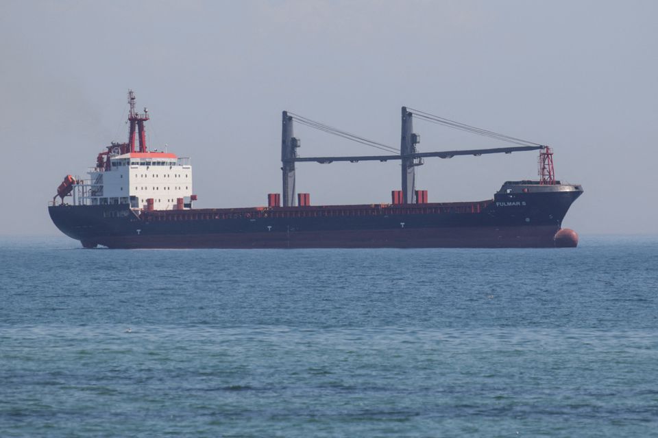 Two more ships depart from Ukraine, Türkiye's defence ministry says