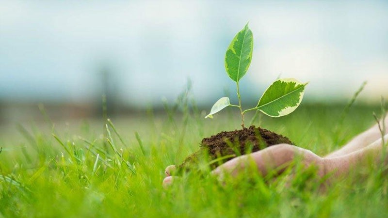Protection of nature is one of the main directions of Azerbaijan's environmental policy (ANALYTICS)