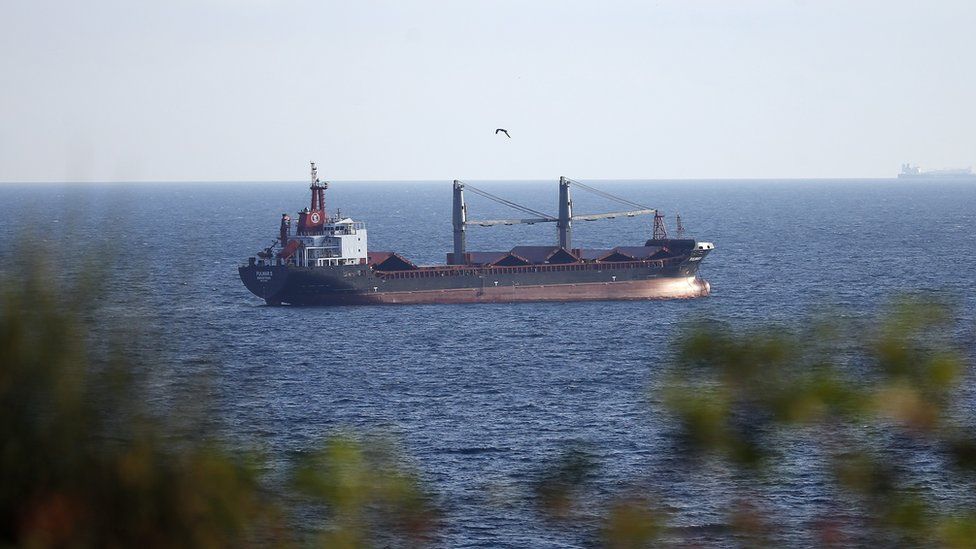 Eight more grain ships leave Ukraine