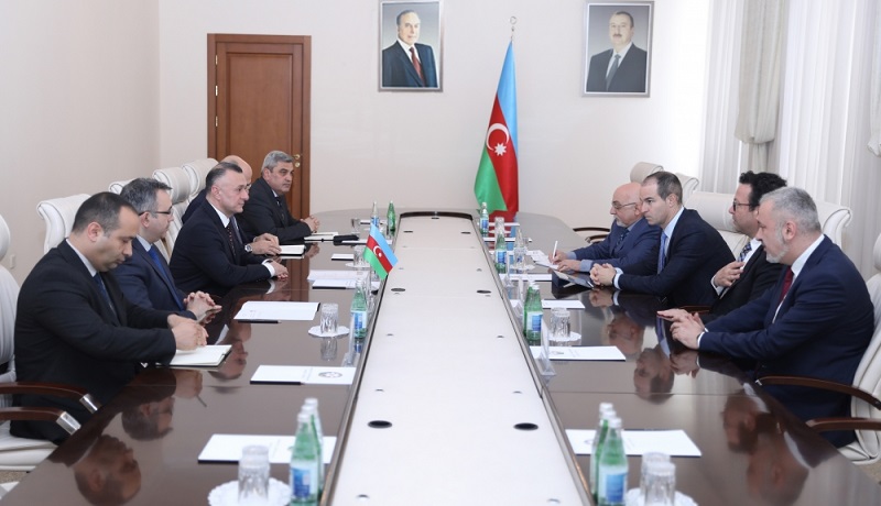 Azerbaijan and Switzerland discuss healthcare cooperation