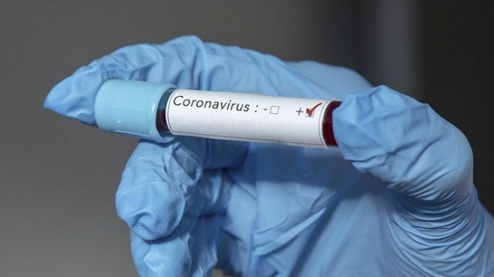 Azerbaijan reports 56 new daily coronavirus cases