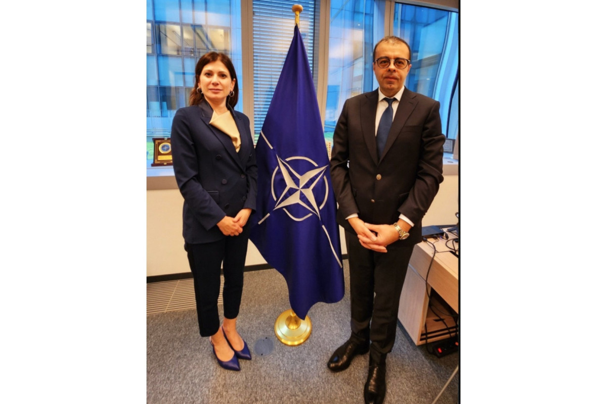 Azerbaijan's ambassador to NATO met with the special representative of the NATO Secretary General