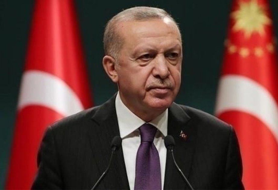 Erdogan to join opening ceremony of Akkuyu NPP online